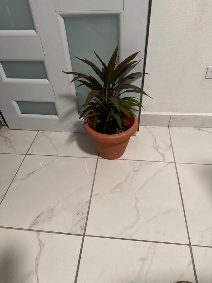 Second Floor 2Br Apt In The Center Of Santurce Appartamento San Juan Esterno foto